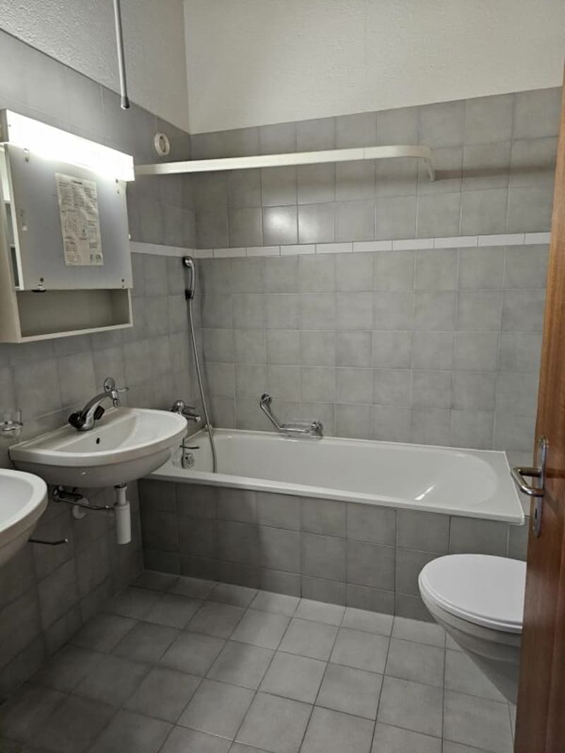 grosse 3.5-Zimmer-Dachwohnung mit eigenem Waschturm (6)