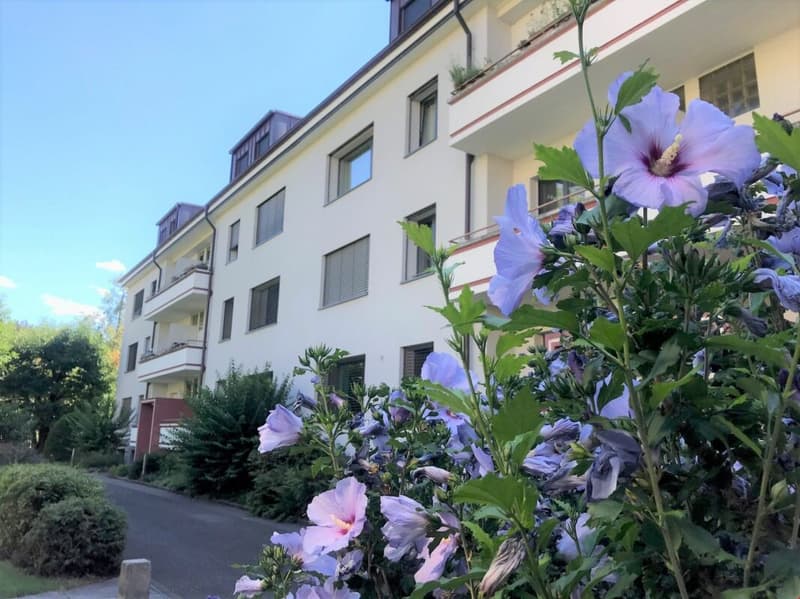 Liegenschaft