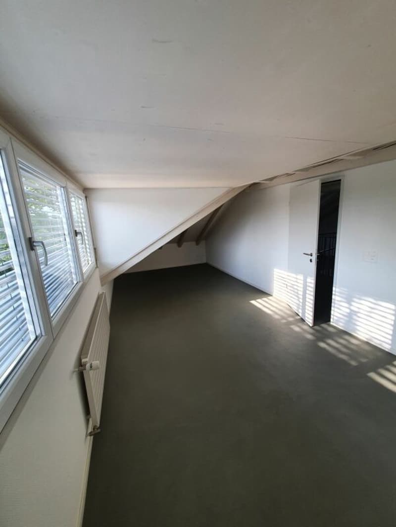 Grosszügige Maisonette-Dachwohnung an ruhiger Lage (8)