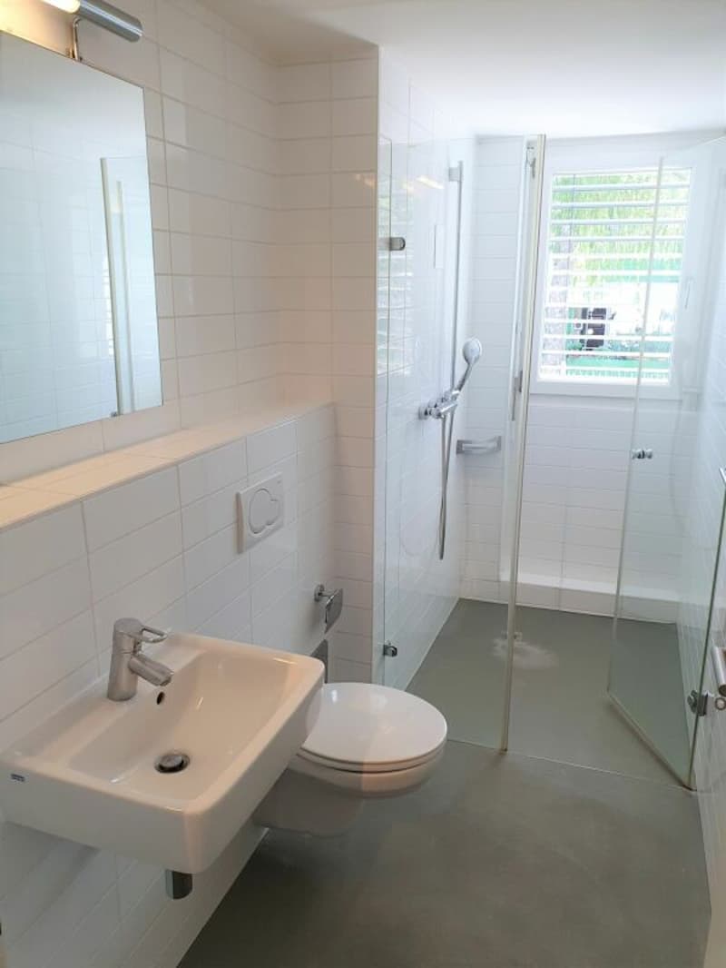 Grosszügige Maisonette-Dachwohnung an ruhiger Lage (6)