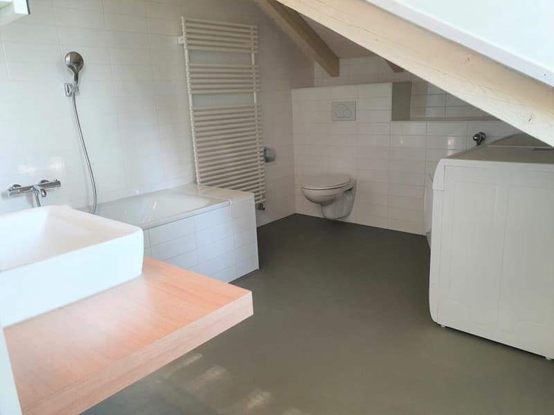 Grosszügige Maisonette-Dachwohnung an ruhiger Lage (9)