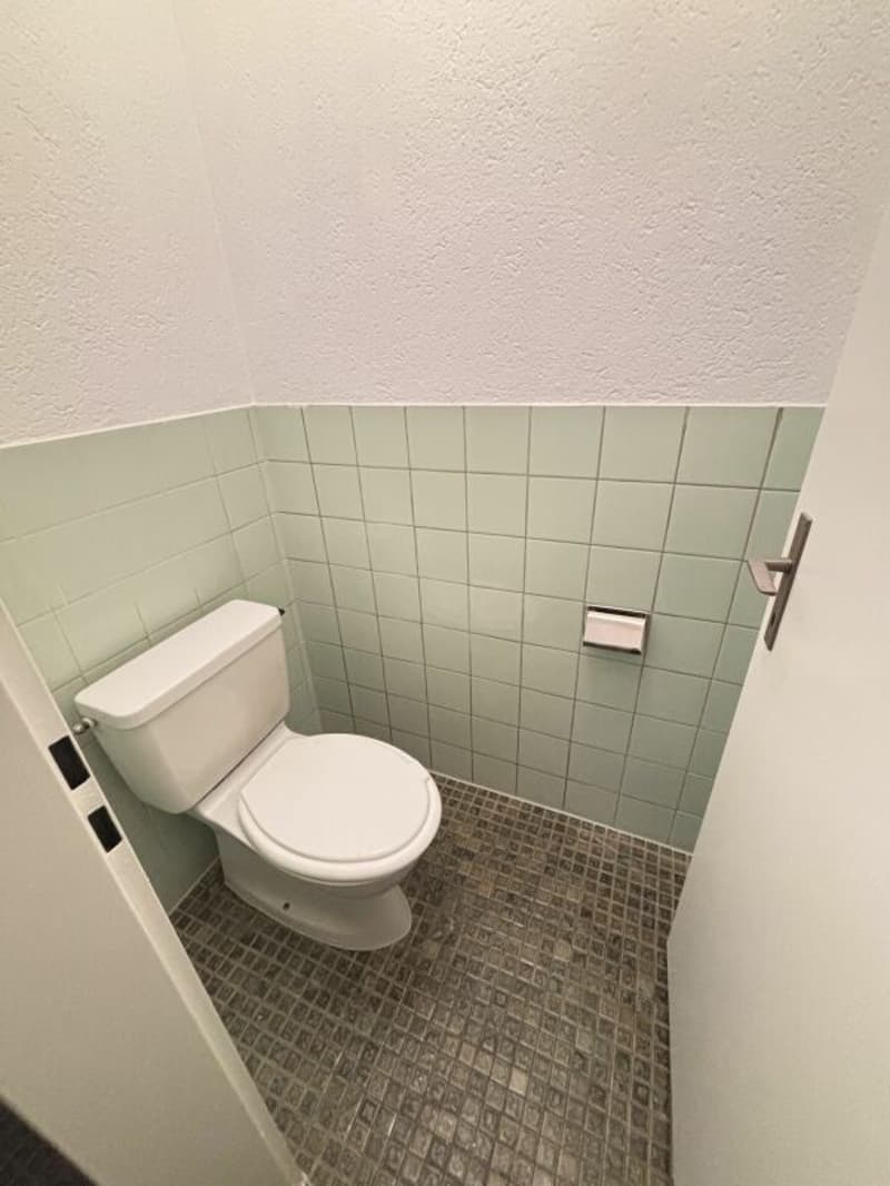 Grosszügige 4.5-Zimmerwohnung an zentraler Lage (4)