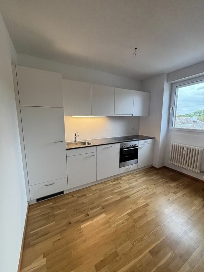 Geräumige helle 2-Zimmerwohnung (1)