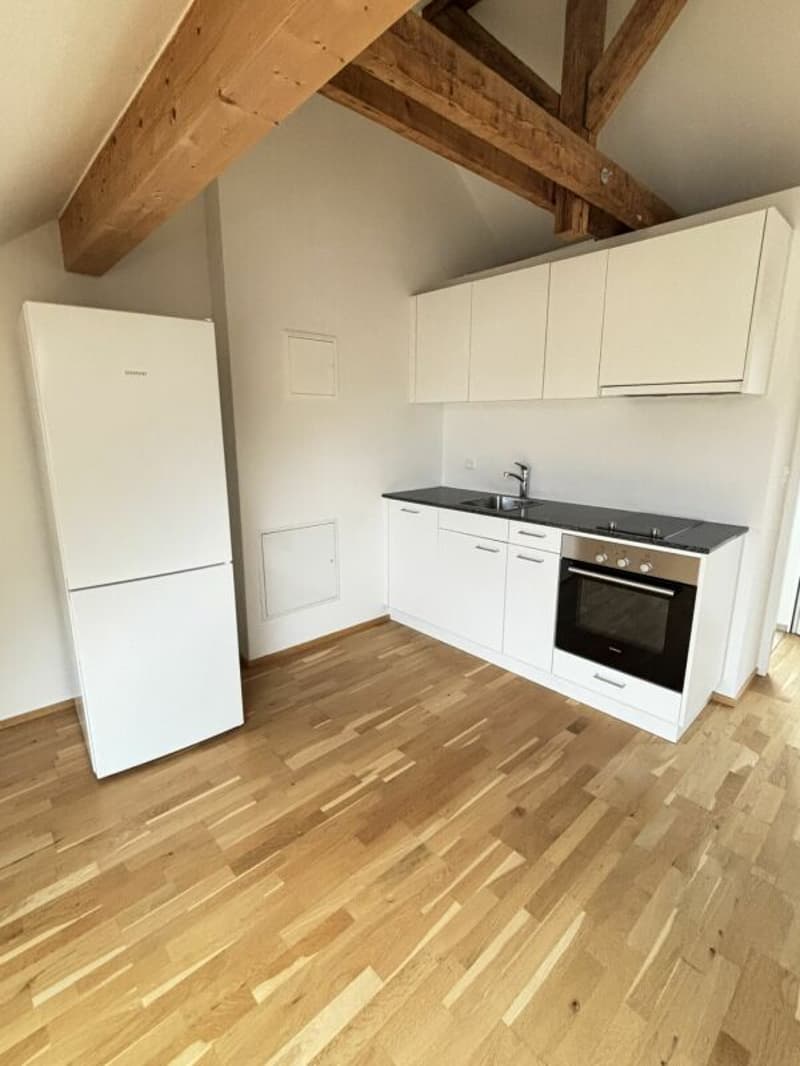 Geräumige moderne 1.5-Zimmer-Loftwohnung (1)