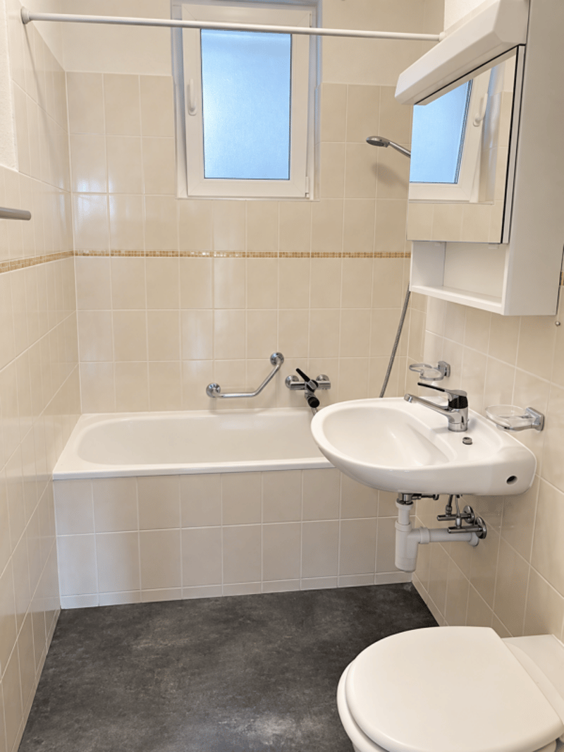 Charmante Wohnung mit sonniger Terrasse (5)