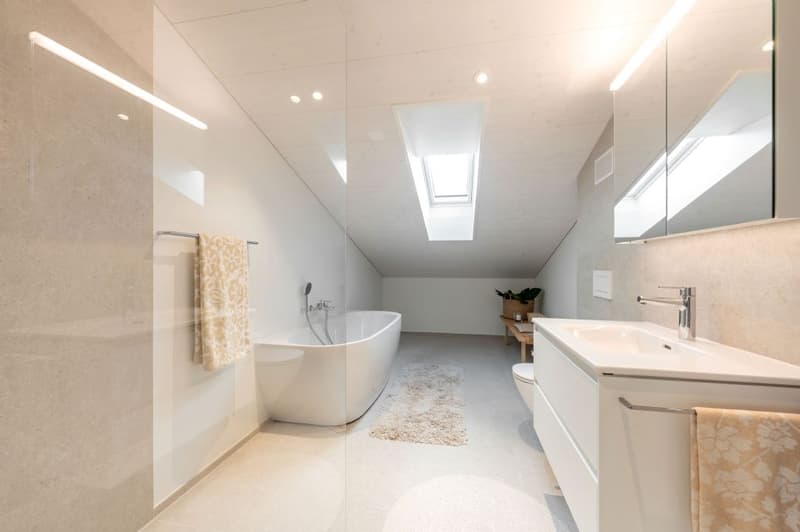 DERNIER APPARTEMENT SOUS LES TOITS | ESPACIEUX | CHARMANT | CRÉATIF (8)