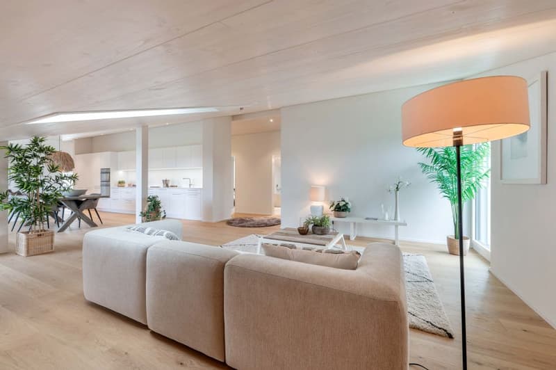 DERNIER APPARTEMENT SOUS LES TOITS | ESPACIEUX | CHARMANT | CRÉATIF (3)