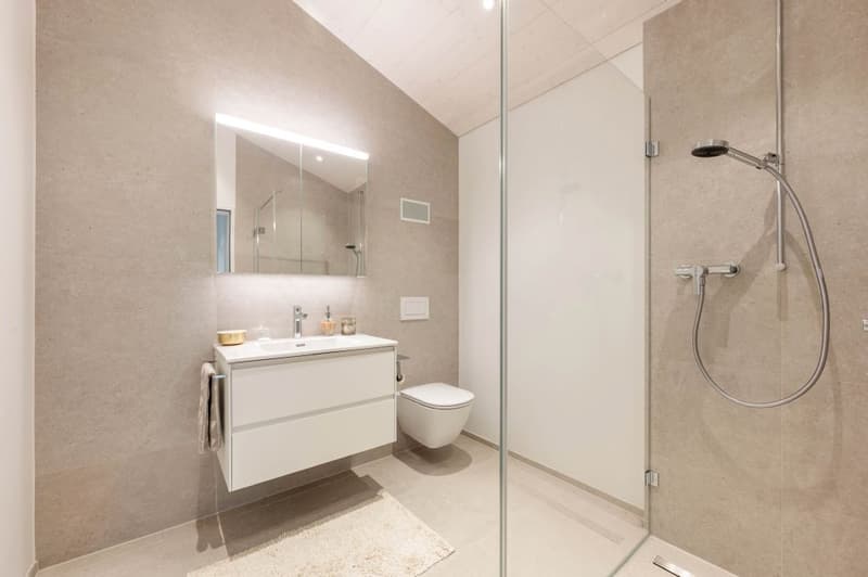 DERNIER APPARTEMENT SOUS LES TOITS | ESPACIEUX | CHARMANT | CRÉATIF (10)