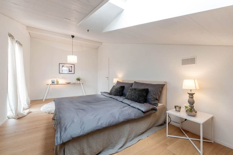 DERNIER APPARTEMENT SOUS LES TOITS | ESPACIEUX | CHARMANT | CRÉATIF (11)