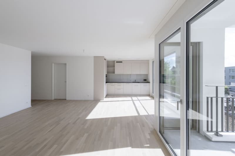 EXKLUSIV | MODERN | MINERGIE (1)