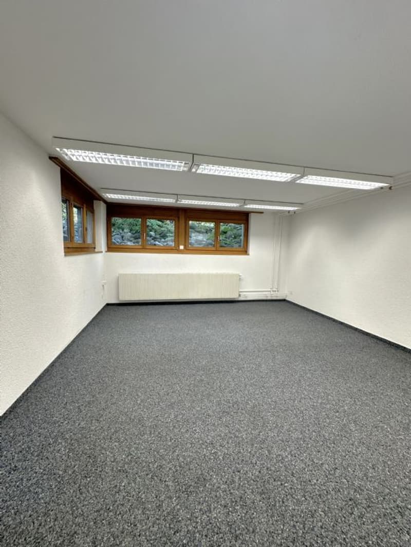 GEWERBEFLÄCHE (40M2) | GERÄUMIG | PLATZ FÜR KREATIVITÄT (2)