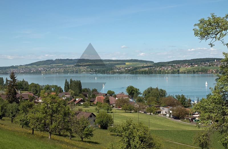 Traumhafte Attika-Wohnung mit Alpen- und Seeblick in Beinwil am See (7)