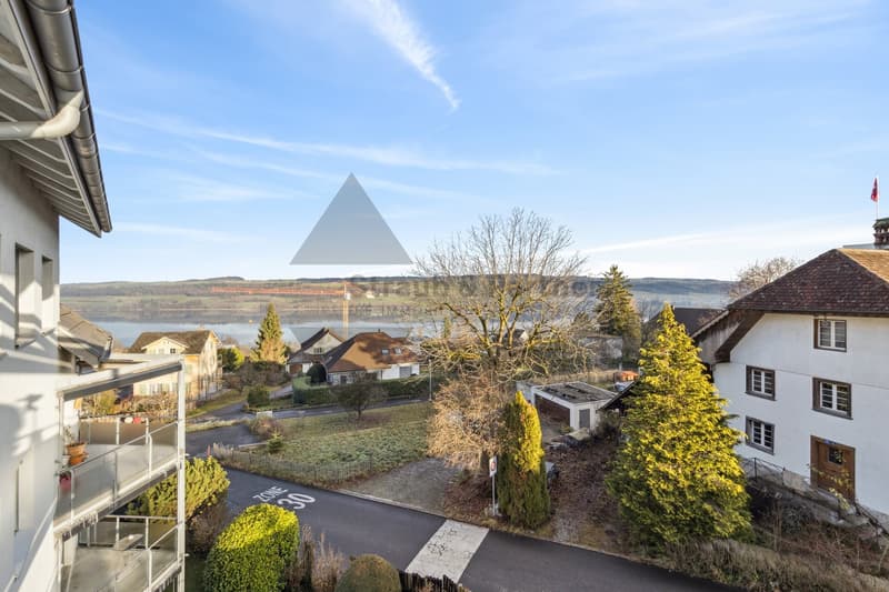 Traumhafte Attika-Wohnung mit Alpen- und Seeblick in Beinwil am See (6)