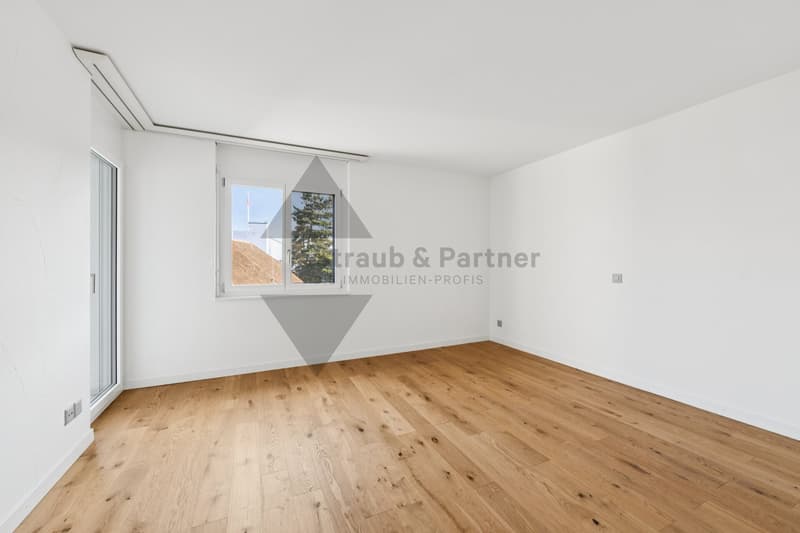 Traumhafte Attika-Wohnung mit Alpen- und Seeblick in Beinwil am See (9)