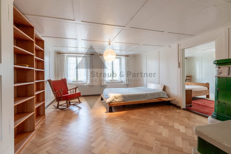 GESCHICHTSTRÄCHTIGES BAUERNHAUS (8)