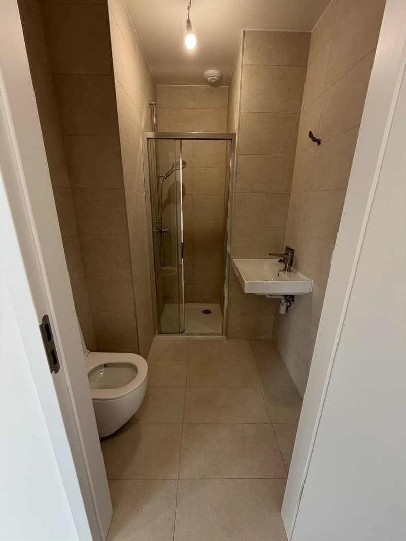 Lot D: Four-room apartment - First floor (9)