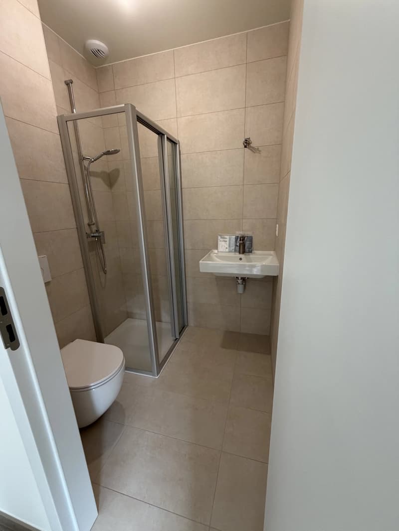 Lot C: Four-room apartment - First floor (12)