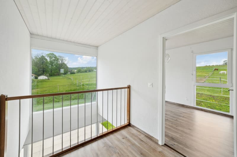 Magnifique villa individuelle à vendre à La Chaux-de-Fonds (10)