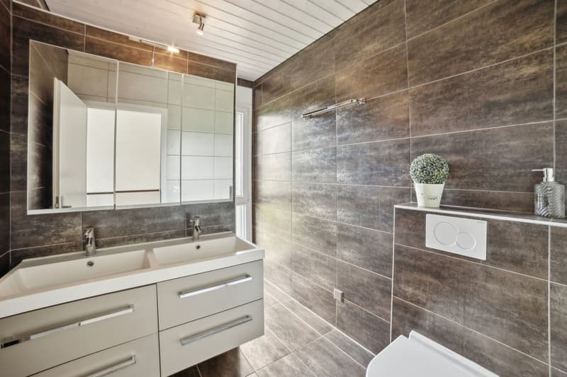 Magnifique villa individuelle à vendre à La Chaux-de-Fonds (9)