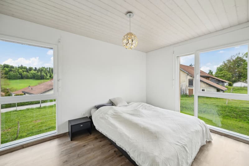 Magnifique villa individuelle à vendre à La Chaux-de-Fonds (6)