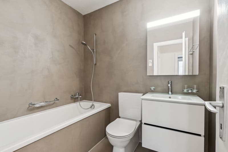 Lumineux 3.5 pièces rénové au coeur du village (5)