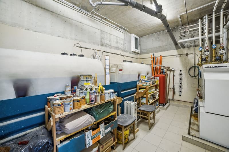 Maison individuelle dans un environnement verdoyant ! (11)