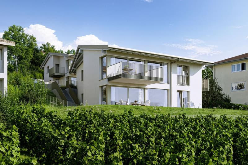 Appartement de 4.5 pièces avec jardin et terrasse (10)