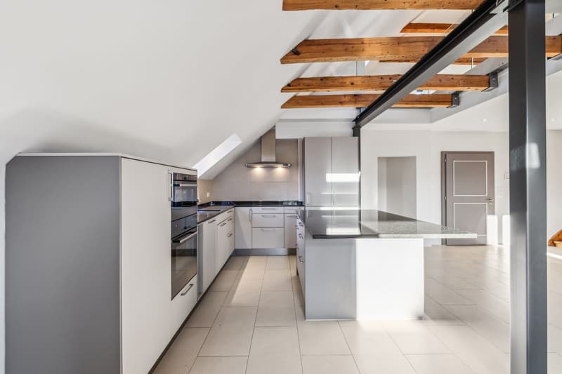 Spacieux et lumineux duplex dans une résidence Art déco (5)