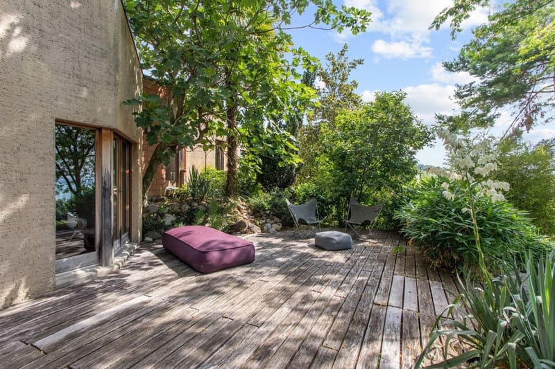 Lieu insaisissable, jardin libre, ici la nature reprend ses droits (10)