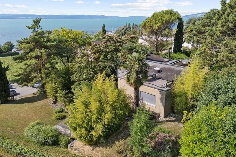 Lieu insaisissable, jardin libre, ici la nature reprend ses droits (11)