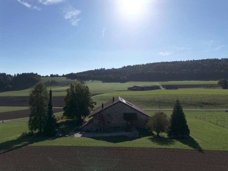 Authentique propriété rurale dans l'environnement du Chasseral (12)