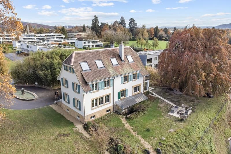 Propriété exclusive les pieds dans l'eau au bord du lac de Neuchâtel ! (3)