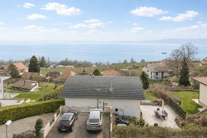 Propriété de prestige avec vue panoramique sur le lac (8)