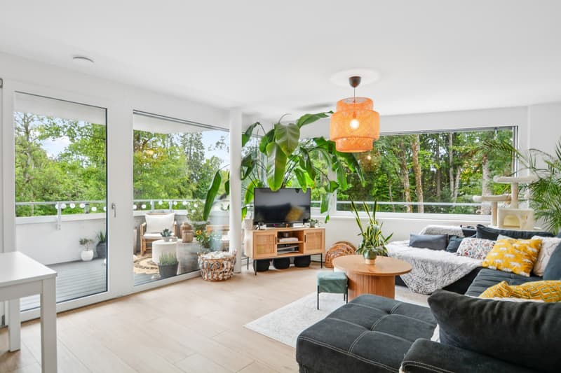 Appartement 4.5 pièces de standing dans le quartier du Bois du Petit C (1)
