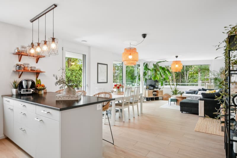 Appartement 4.5 pièces de standing dans le quartier du Bois du Petit C (2)
