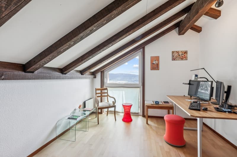 Superbe villa individuelle avec un beau jardin et 2 garages box (11)