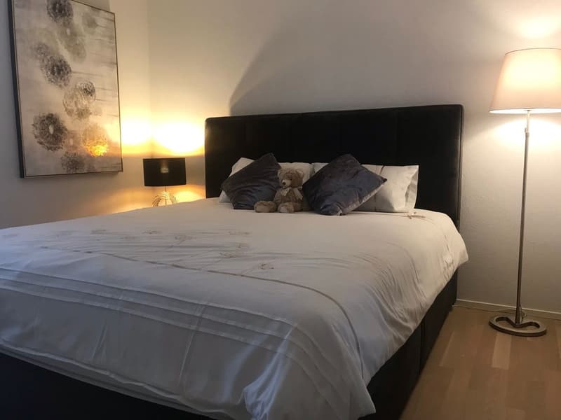 Bedroom with a bed, white linen, teddy bear, bed lamp, floor lamp, painting, dark walls