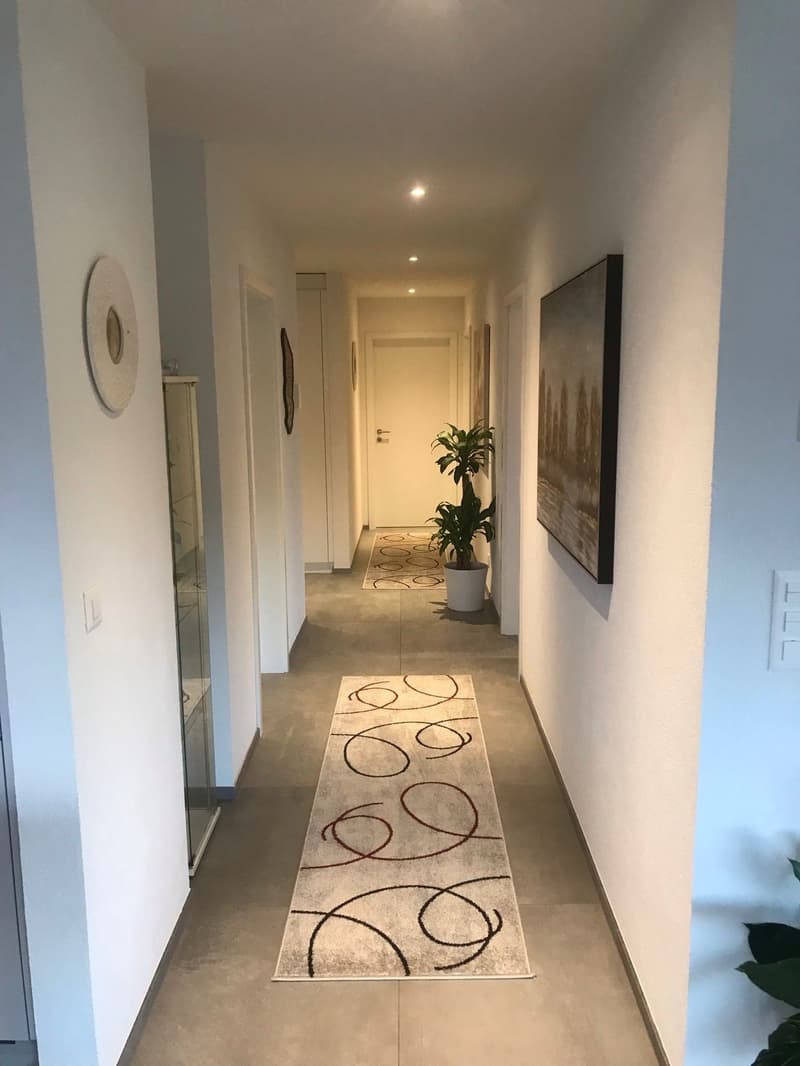long corridor, beige walls, carpet, potted plant, decorative paintings