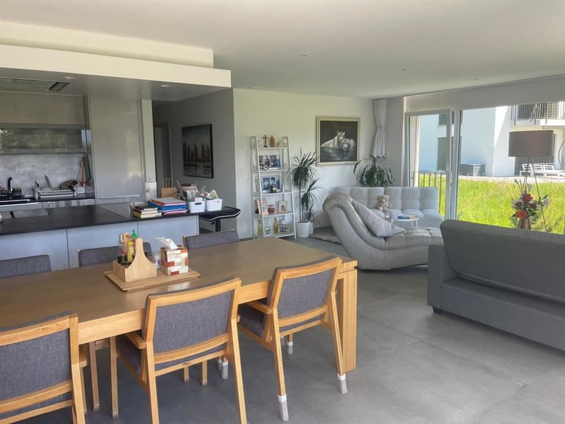 open floor plan, modern dining table, comfortable sofa, kitchen with sink, glass door, grassy view
