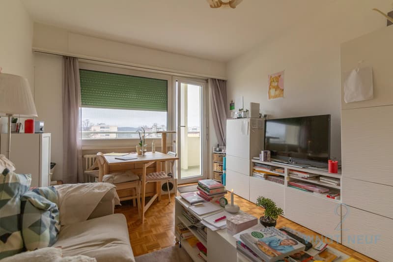 Appartement 3 pièces avec grand balcon (2)