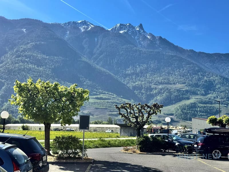 Spacious duplex at "Les Bains de Saillon" (3)