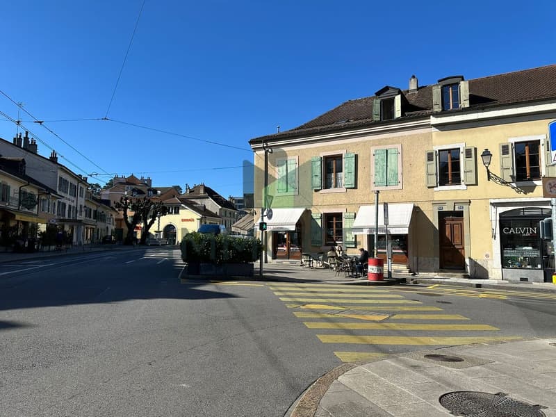 EXCLUSIF ET RARE : PETIT IMMEUBLE MIXTE DANS LE VIEUX CAROUGE (2)