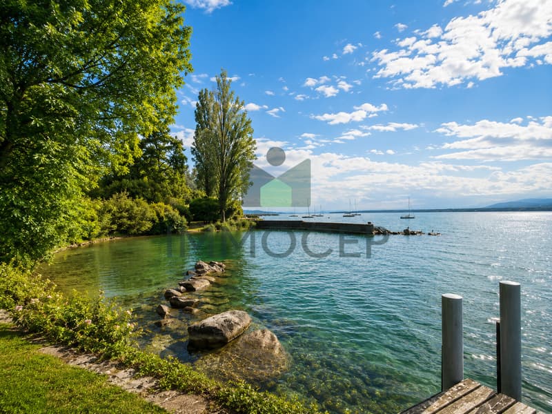 Propriété d'architecte à rénover à Versoix avec accès privé au lac (12)
