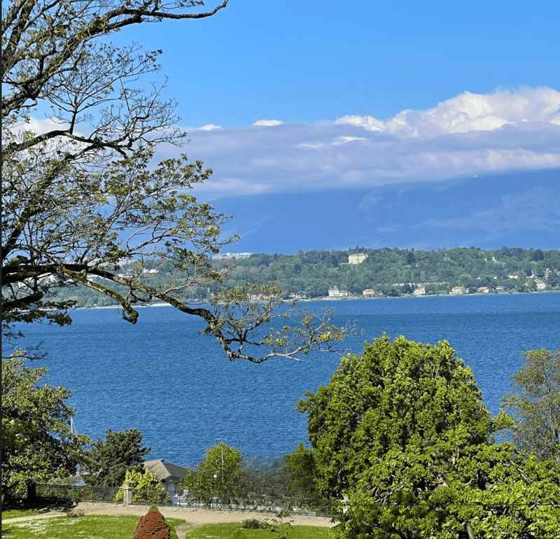 Ville d'exception face au lac (1)