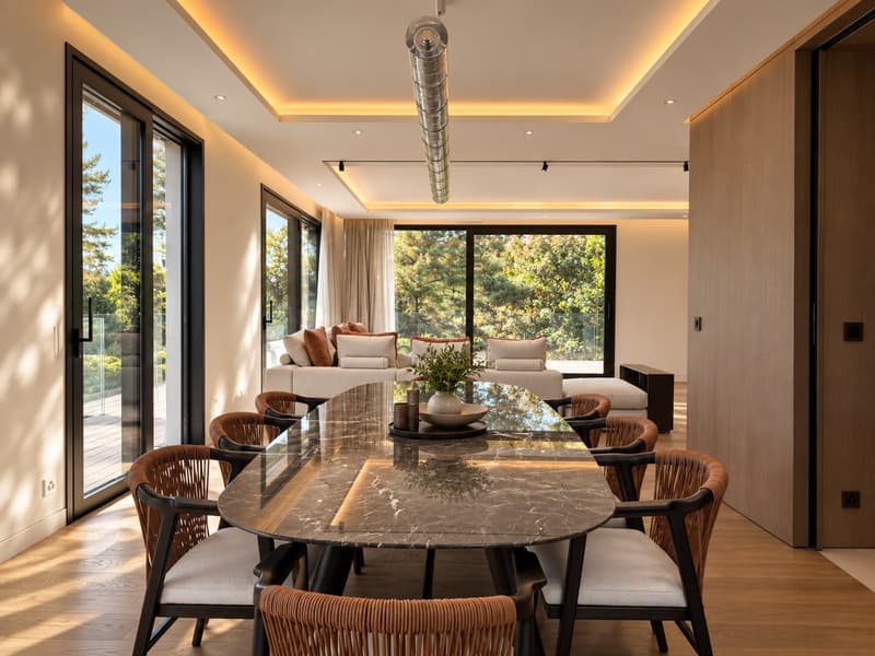 Penthouse d'exception - Vue Mont-Blanc (2)