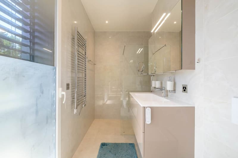 Salle de douche en suite