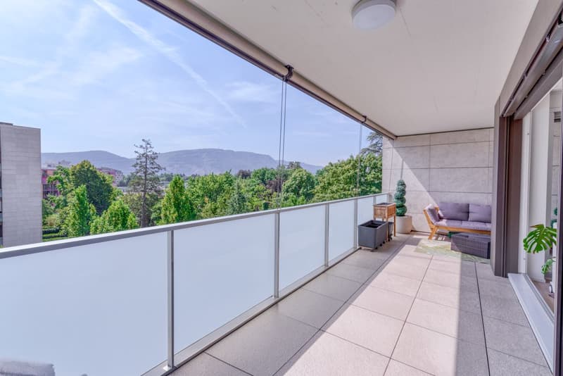 Balcon avec vue Salève