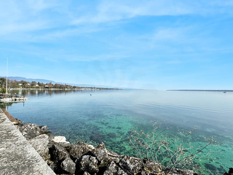 Co-Exclusivité: Maison de charme pieds dans l'eau, avec port privé (4)