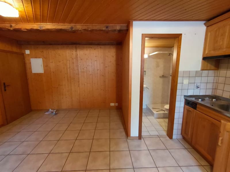 A louer studio au rez-de-chaussée dans un cadre idyllique (3)