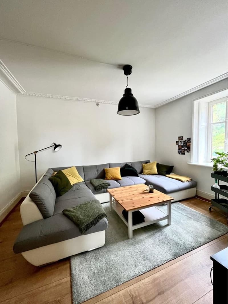 large sofa, wooden coffee table, floor lamp, wooden floor, gray rug